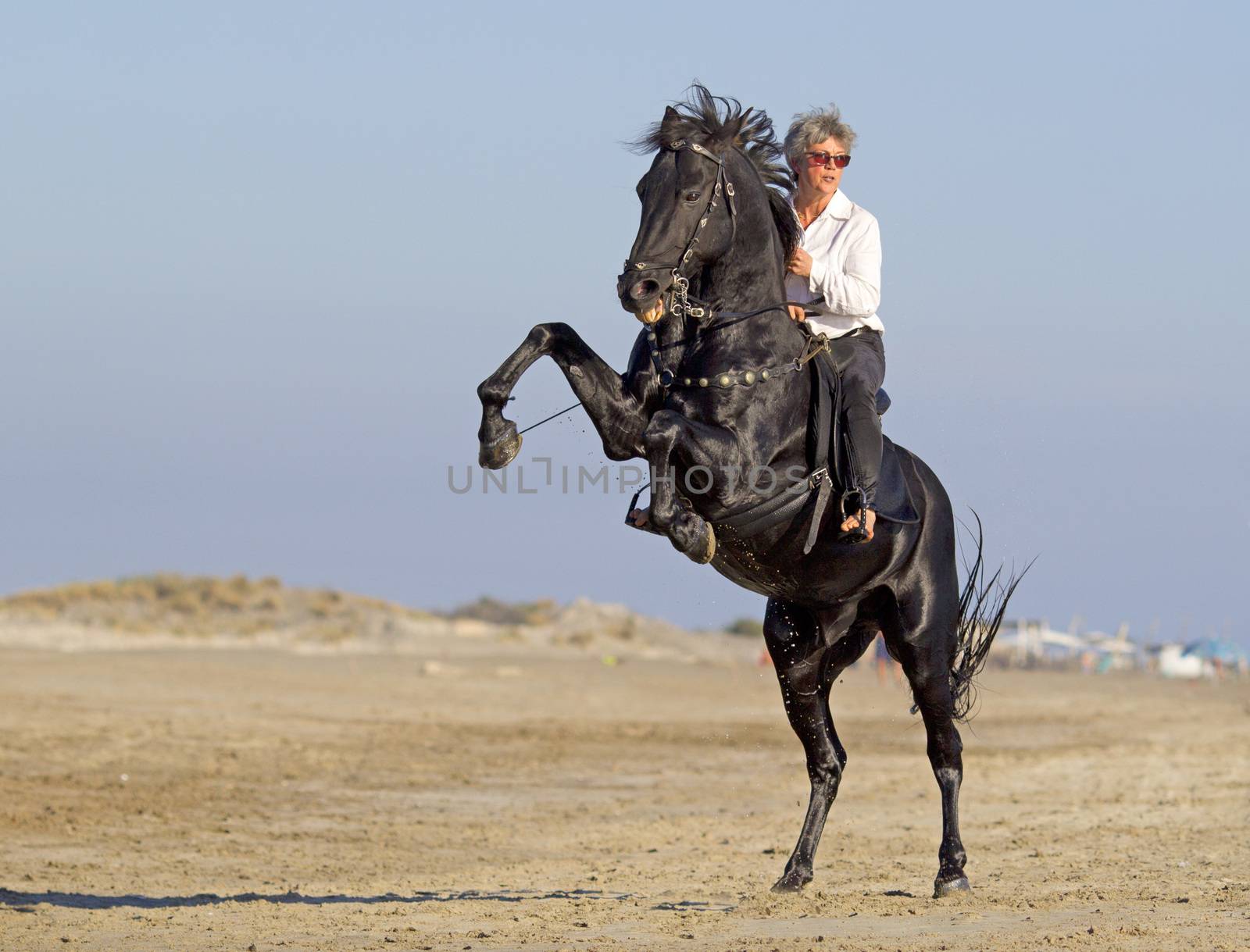 horsewoman and her horse on the beach