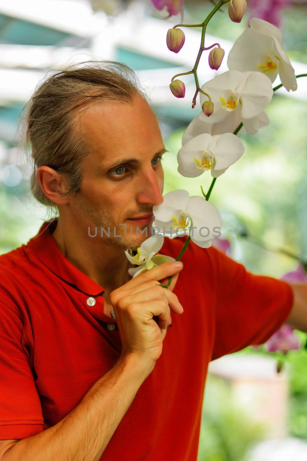 a handsome young man in garden smelling beautiful flowers in a sunny day