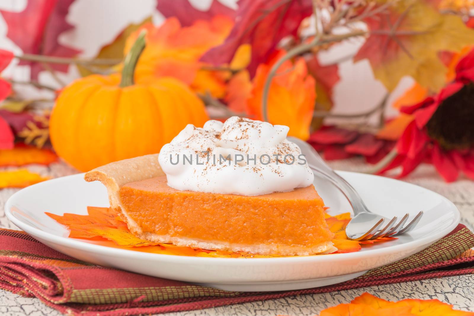 Slice of pumpkin pie plated among beautiful autumn colors.
