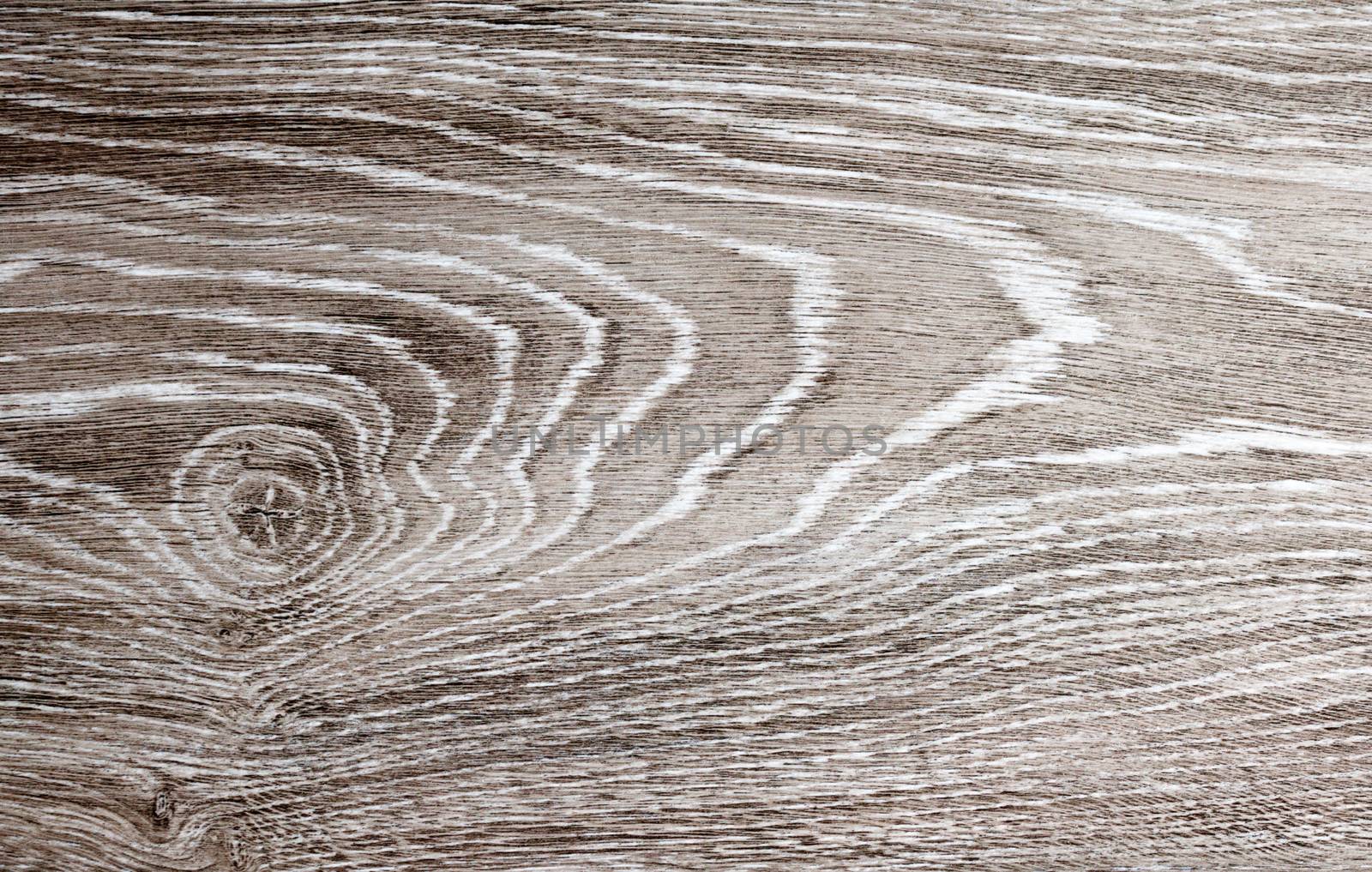 White oak background, solid hardwood texture 