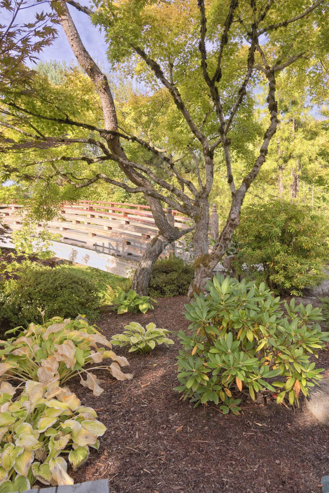 Japanese garden in Gresham Oregon. by Rigucci