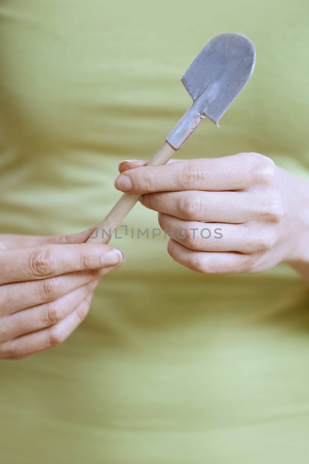 Hands of gardener with miniature shovel