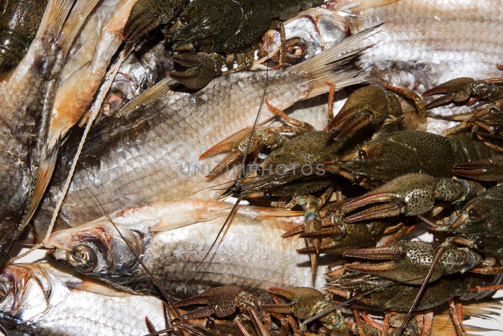 Dry fish and alive crayfish on white background. Dead dry salty fish and alive river crayfish - snack to beer. Closeup.