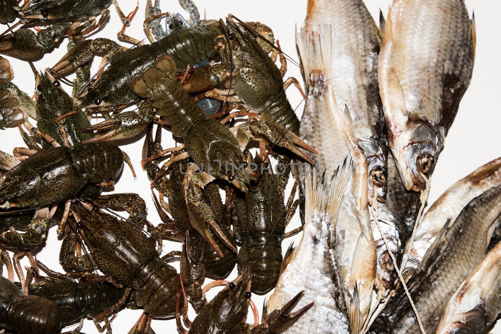 Dry fish and alive crayfish on white background. Dead dry salty fish and alive river crayfish - snack to beer. Closeup.