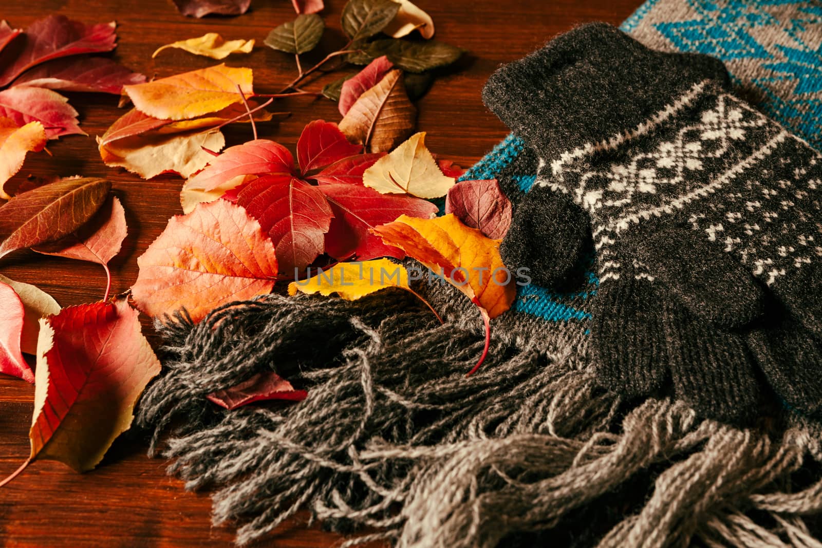 Gloves, scarf and autumnal foliage by LuigiMorbidelli