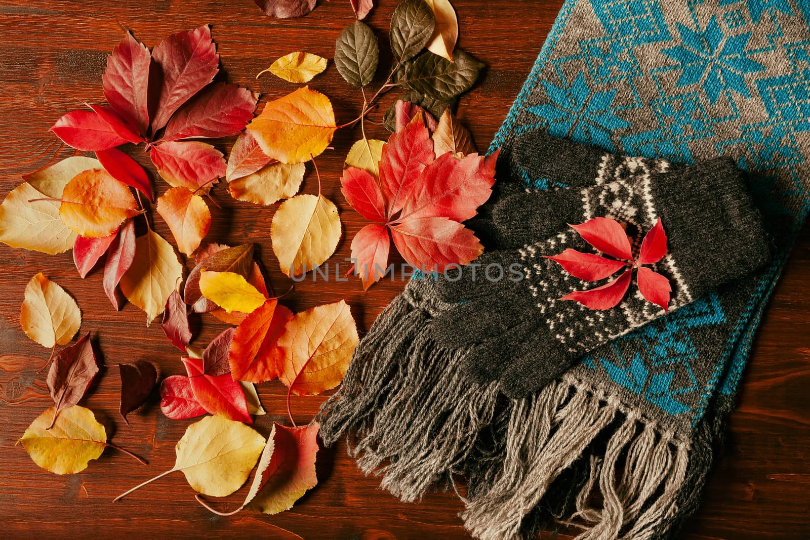 Gloves, scarf and autumnal foliage over a dark table seen from above