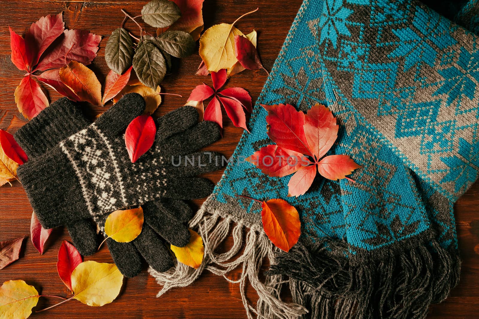 Gloves, scarf and colorful autumnal foliage over a dark table seen from above