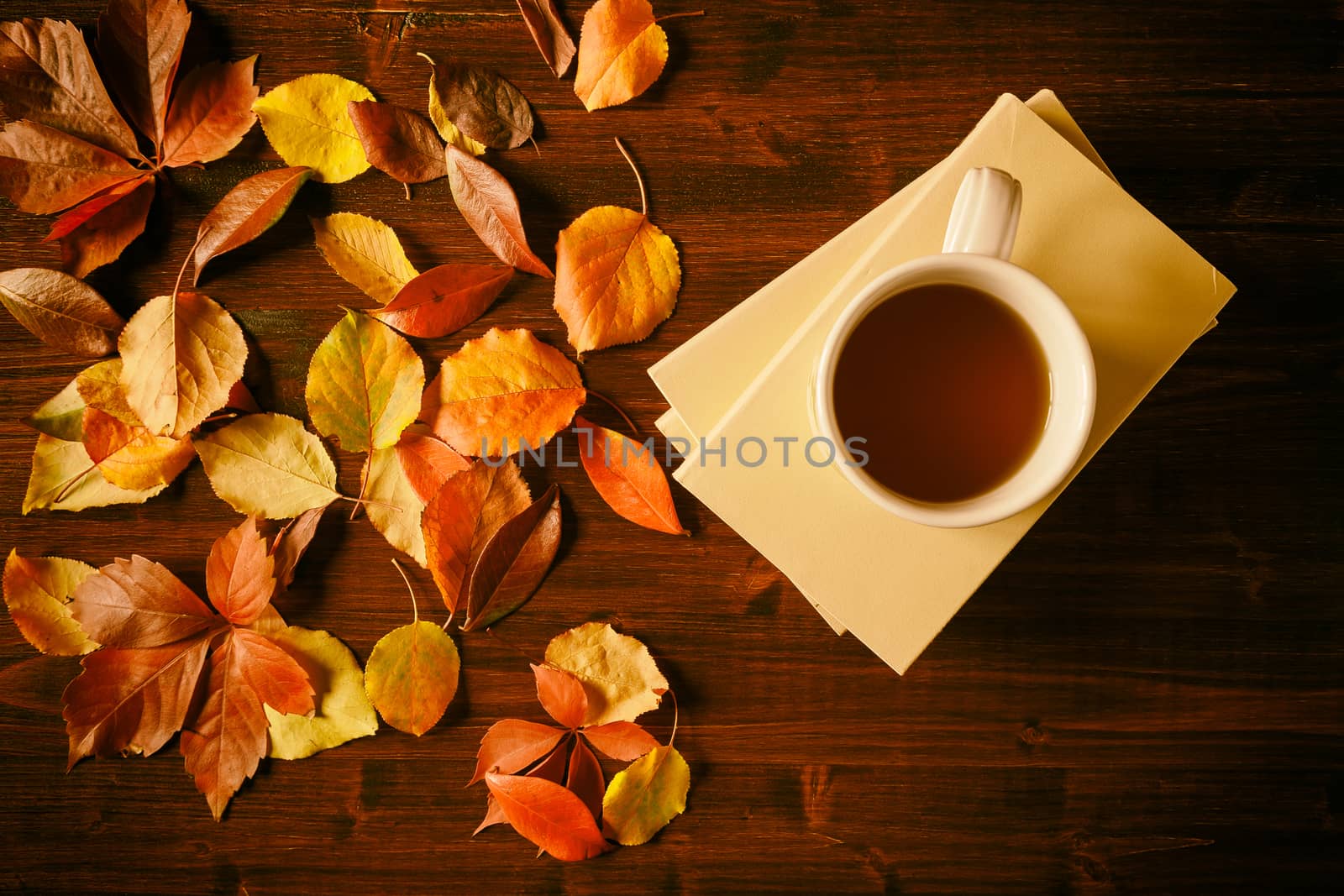 Cup of tea, books and autumnal foliage in vintage style over a table seen from above
