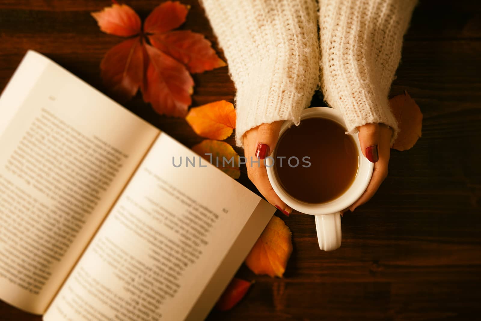 Woman hands holding teacup and opened book seen from above in vintage style