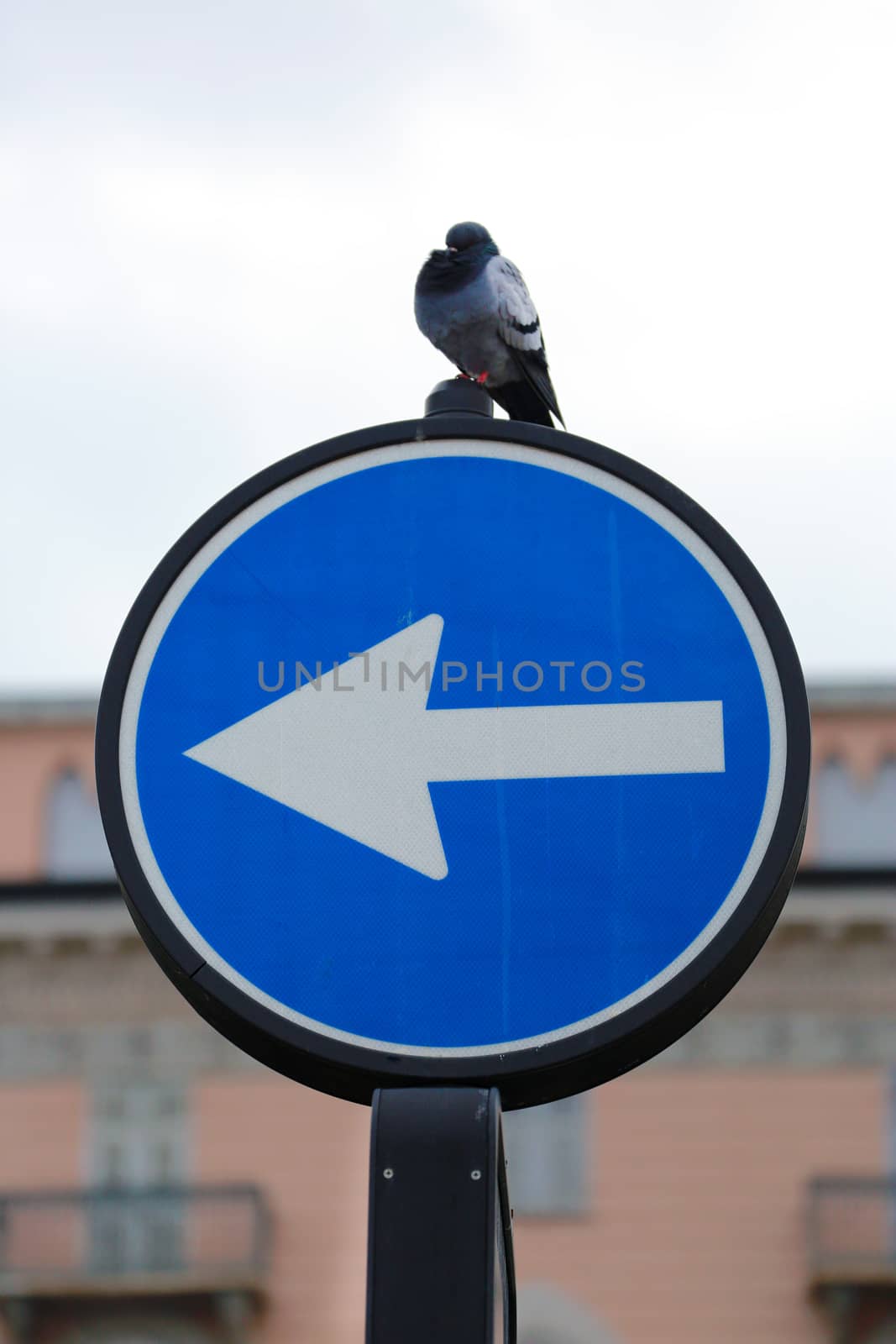 Traffic sign With an Arrow Pointing to the Left