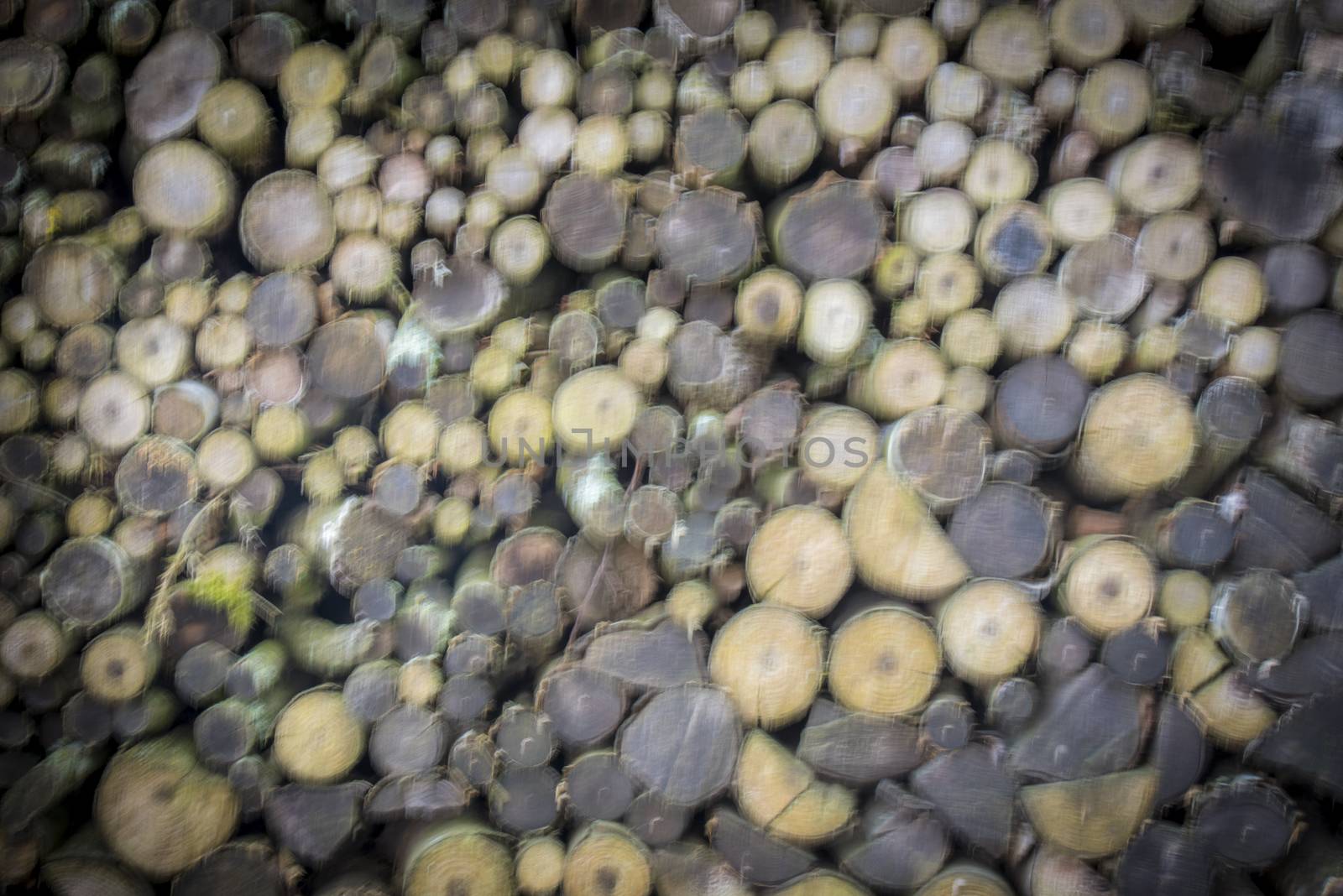 Abstract background with a stack of firewood logs prepared for winter, with blurry settings, great composition for your design