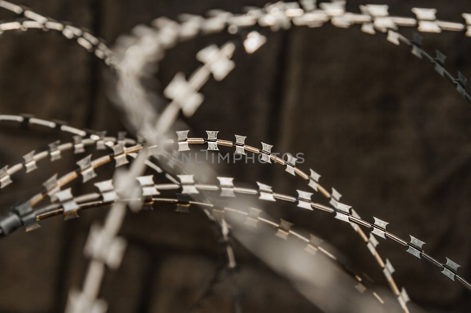 razor wire fence by vilevi