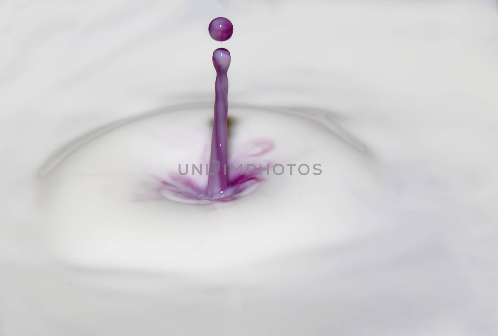 beautiful splash of purple drop in milk