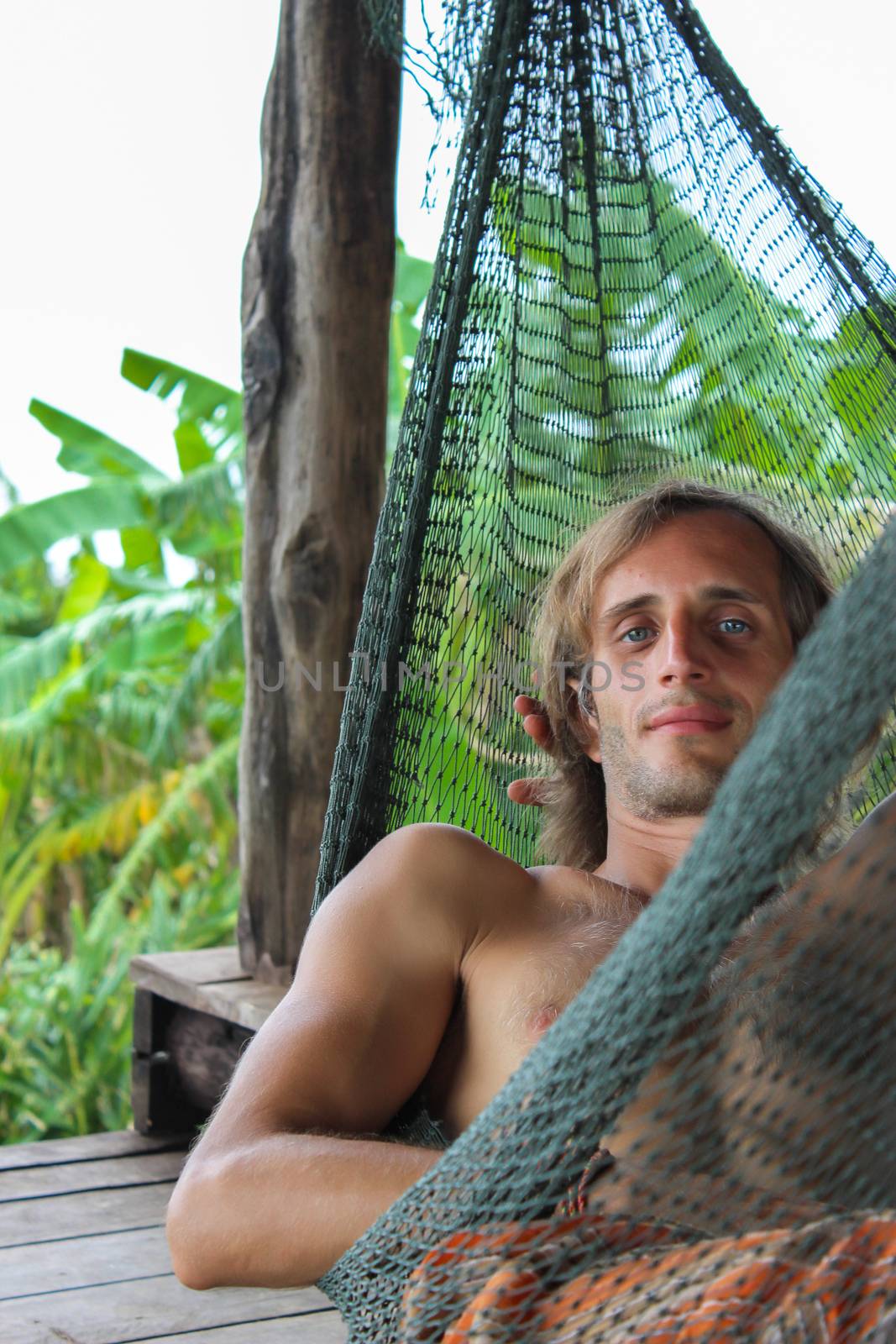 casual happy man relaxing on a hammock in the beach  holidays by evolutionnow