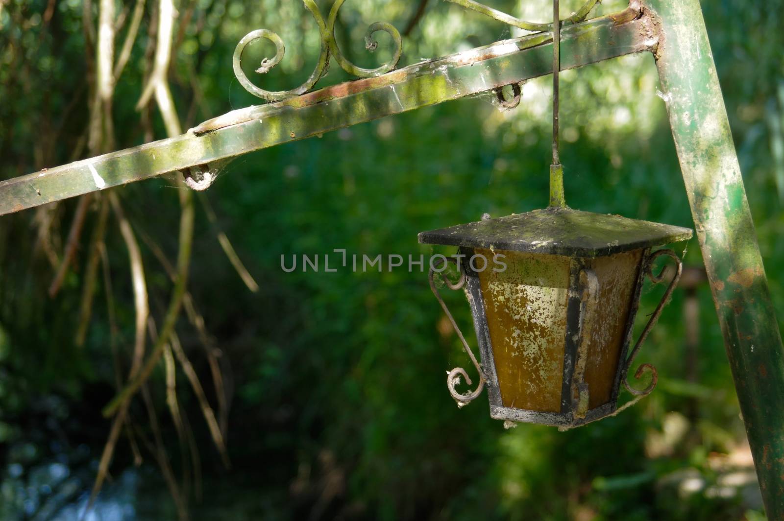 a vintage style street light with crown on the top. Beautiful historical retro metal Streetlight on green tree background.