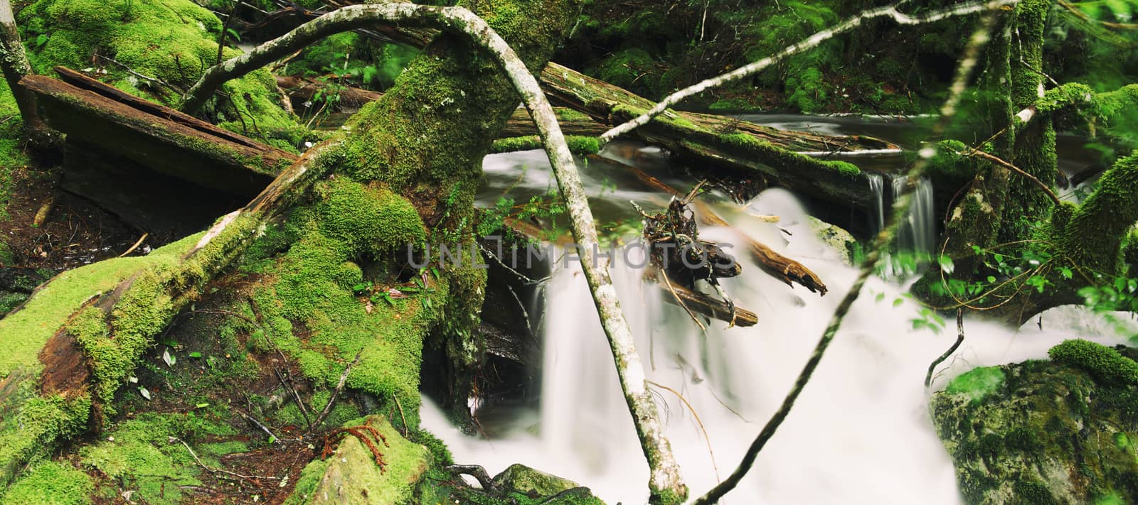 Knyvet Falls in Cradle Mountain by artistrobd