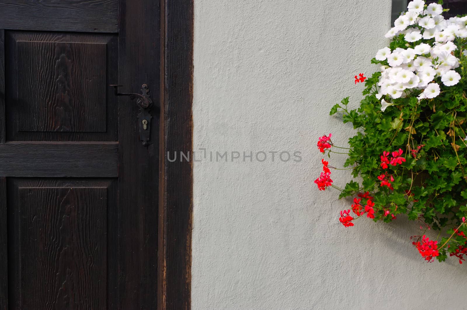 a dark broun wooden front door. White wall and bush with flowers.