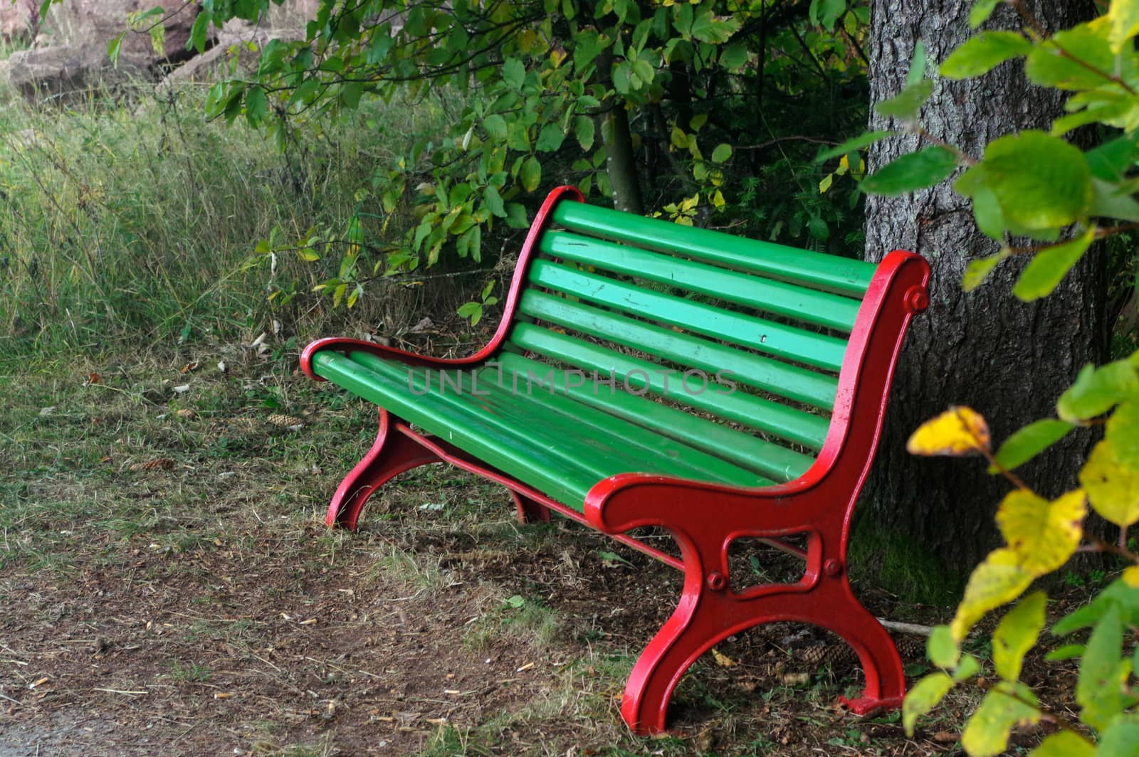 a wooden green park bench under trees in the forest