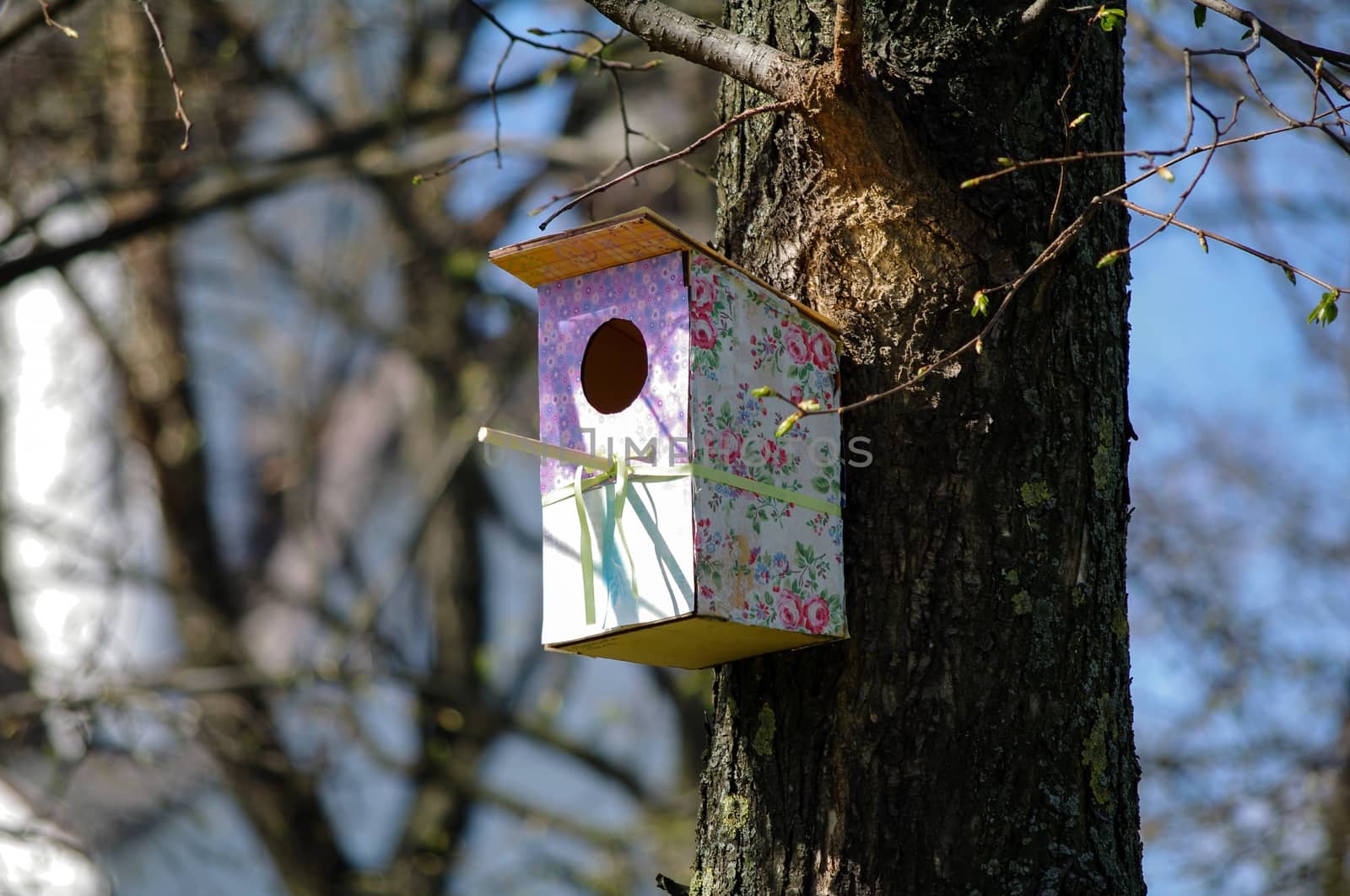 Colourful, pink patterned wooden birdhouses on a tree. by evolutionnow