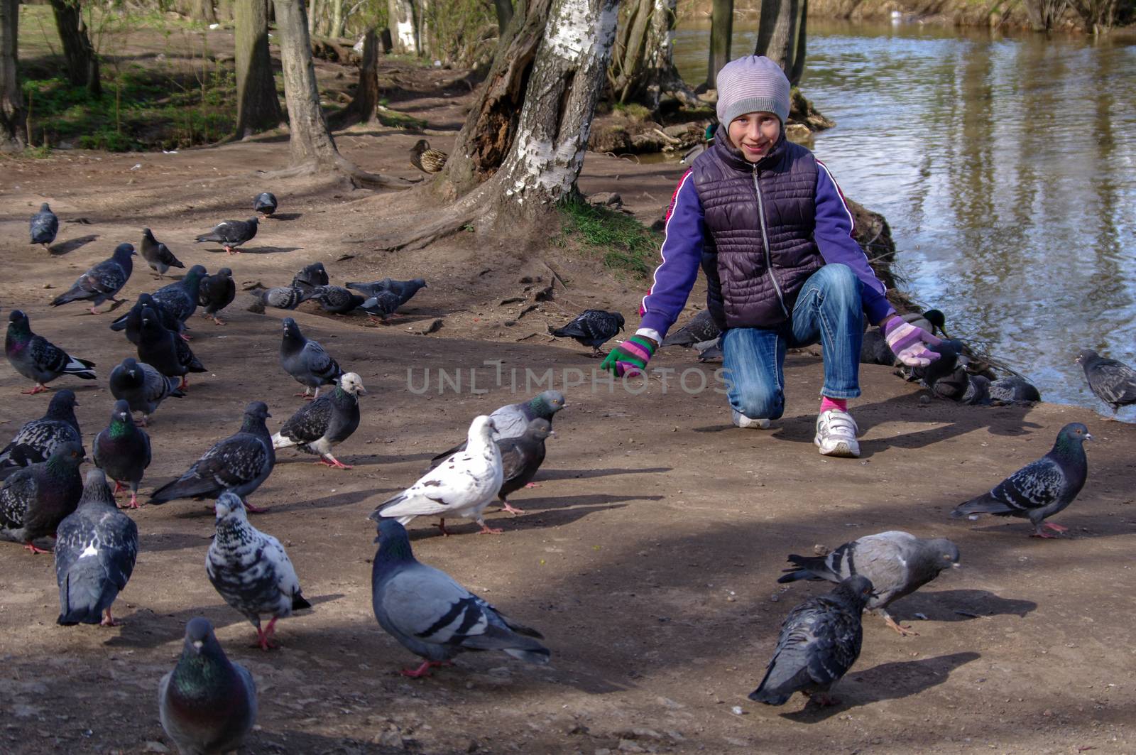 Child playing with doves in the city street. young girl feeding pigeons. by evolutionnow