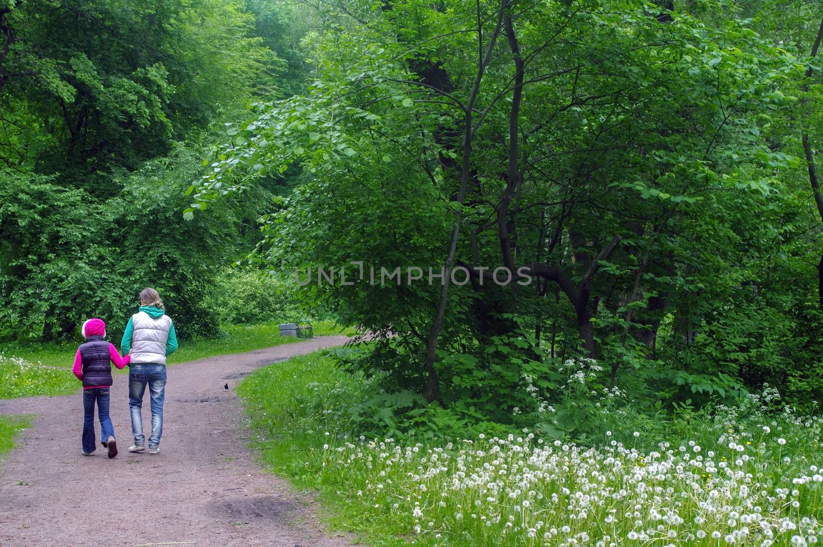 a mother and daughter walking in the forest and holding hands