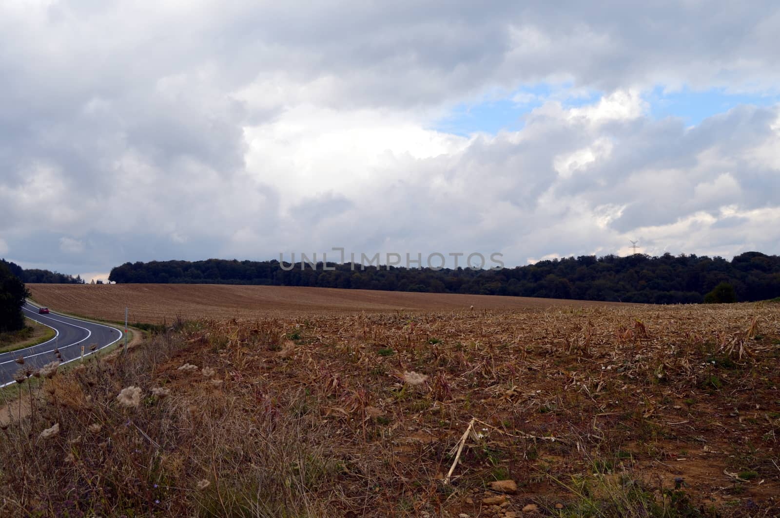 Fields of corn mown under a grey sky.