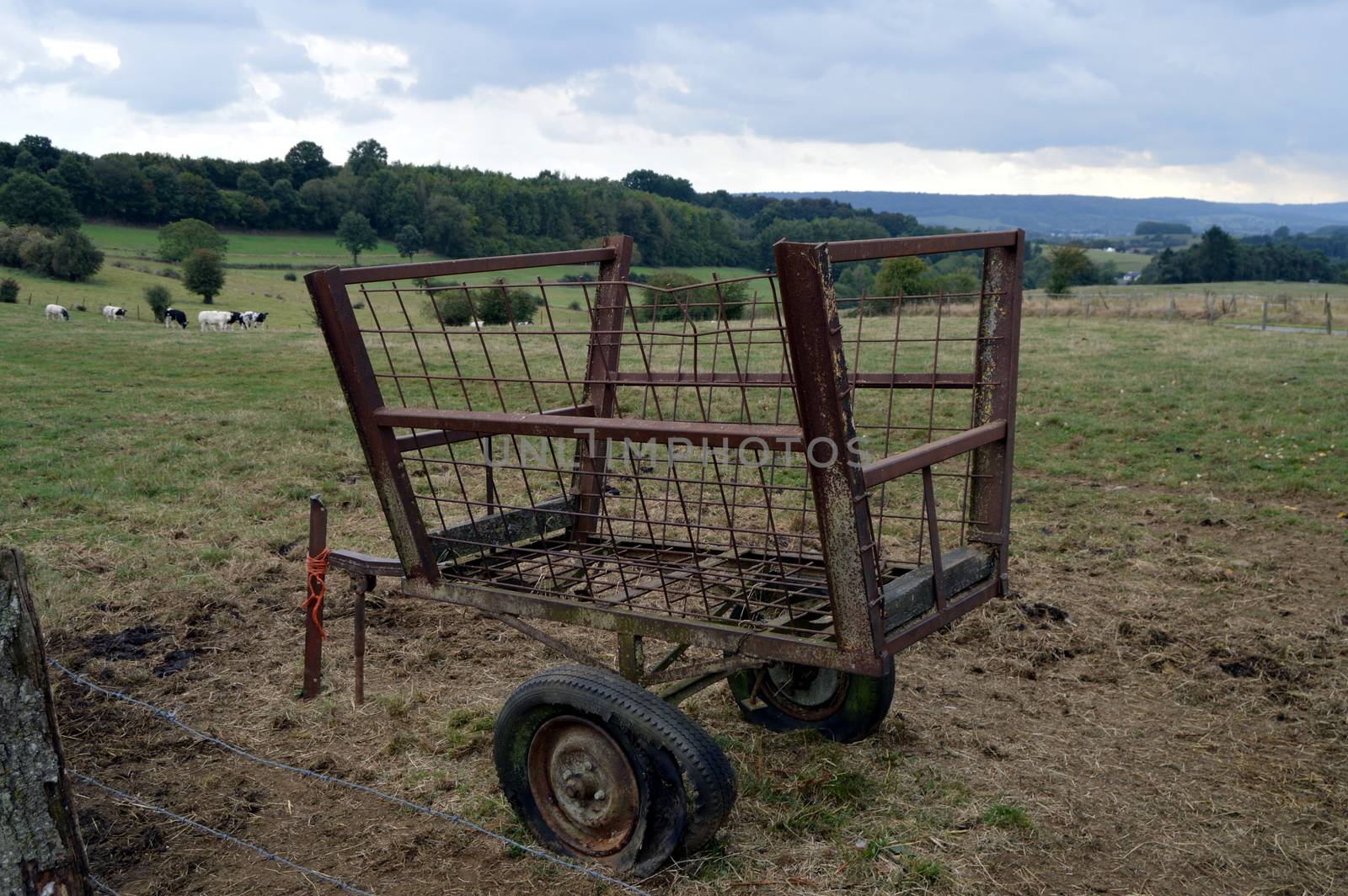 Old iron cart with tires to burst to put in one fields.