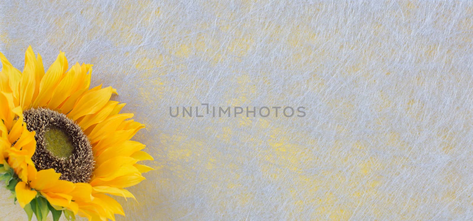 Sunflower, grey fiber fabric and yellow glitter film, background