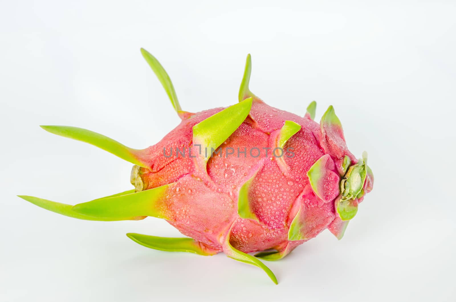 Fresh pink pitaya or dragon fruit  on white background