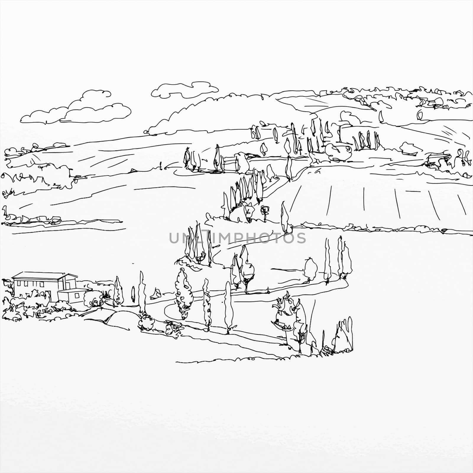 Tuscan landscape