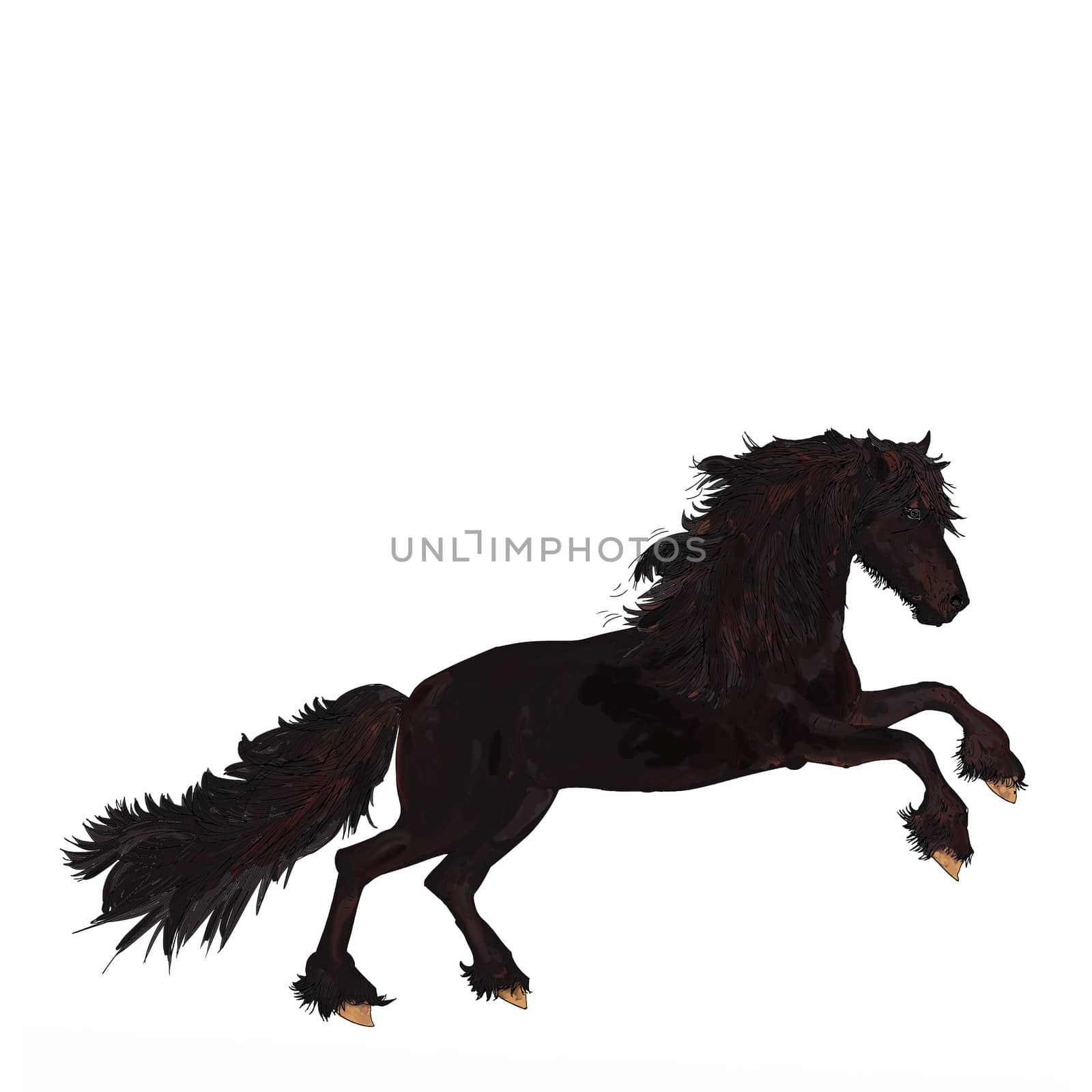 Black horse galloping