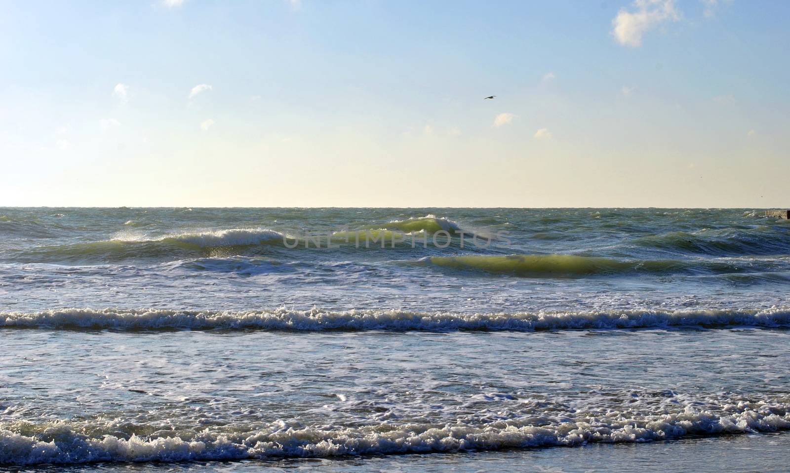 Breaking Waves at Rising Storm