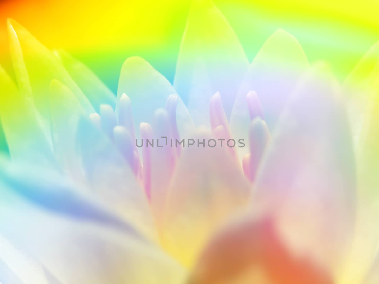An abstract background of a flower with a pattern of rainbow collors                               