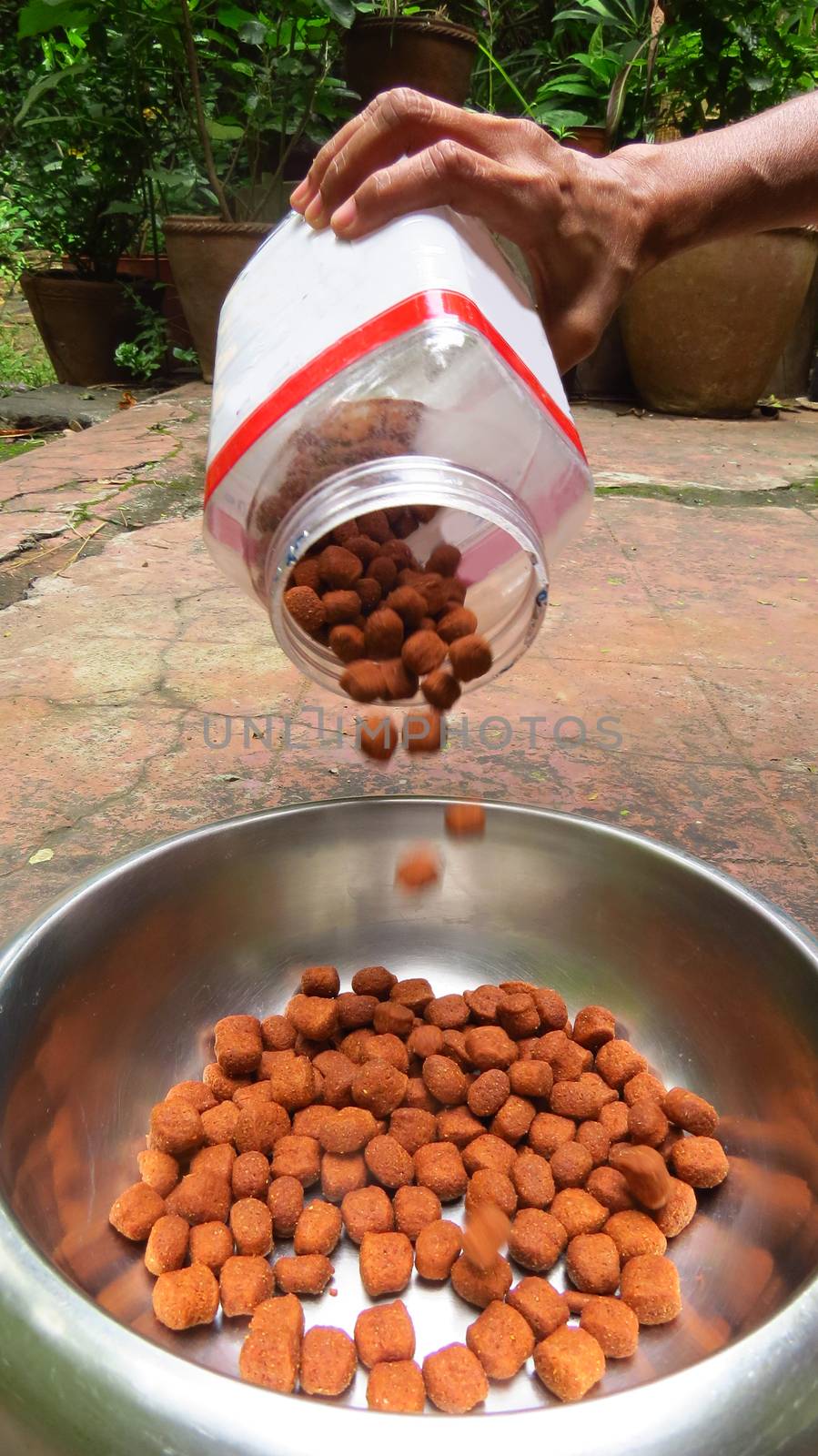 A person pouring pet food in a bowl from a dog's perspective                               