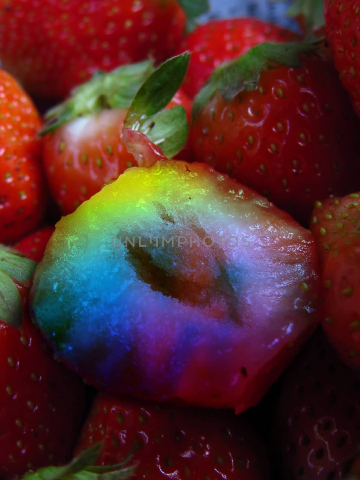 Genetically Modified Strawberry by thefinalmiracle