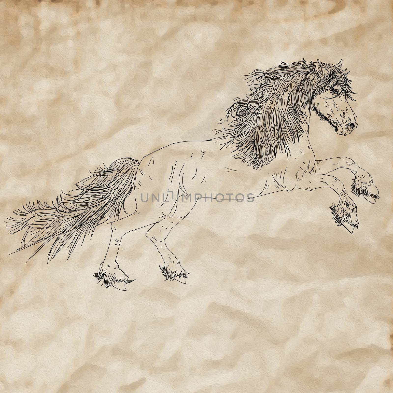 Running horse