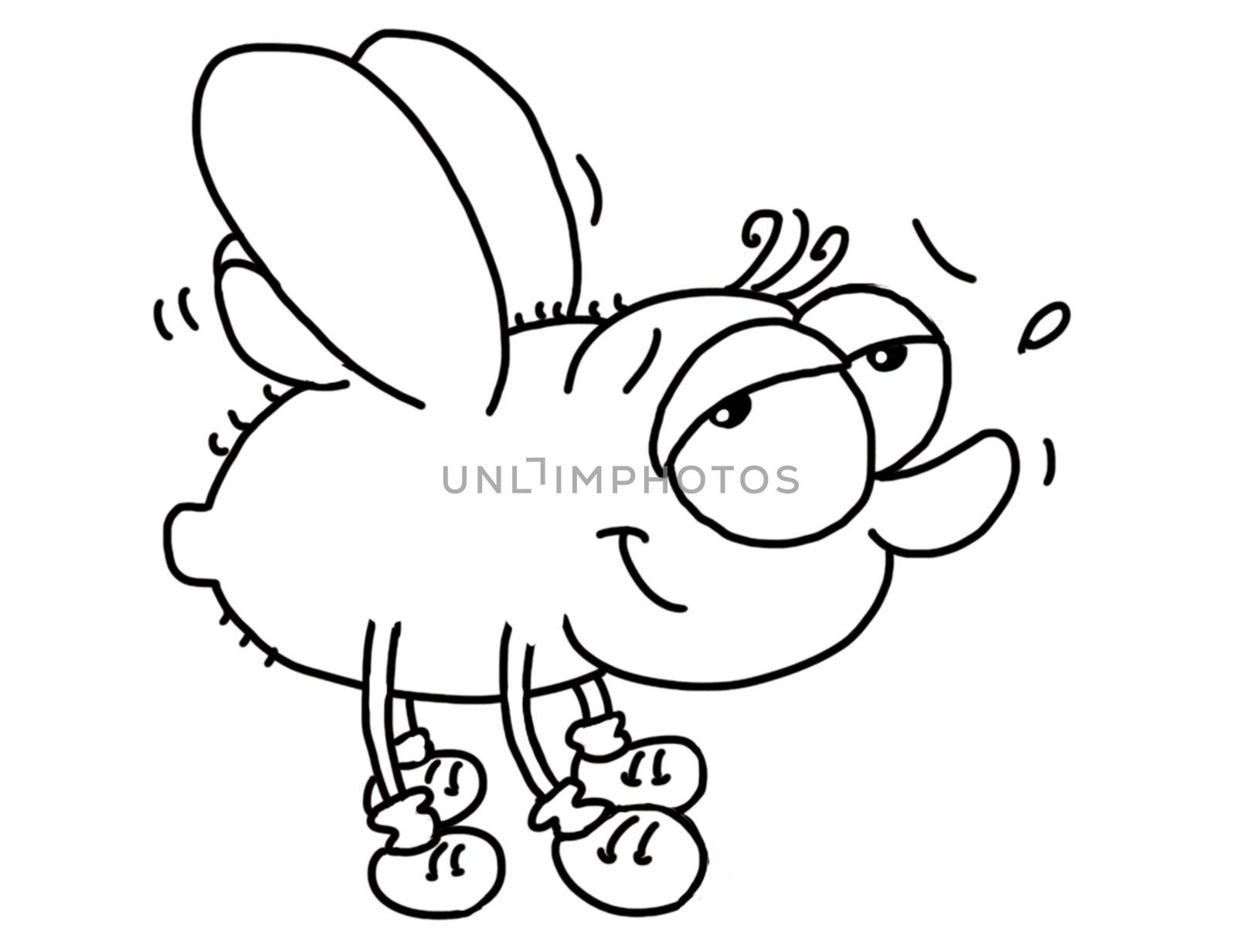 A flying fly