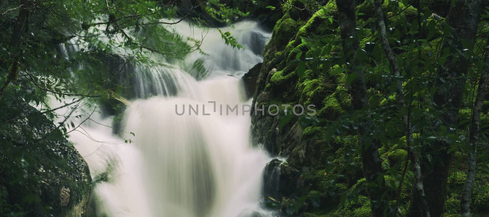 Knyvet Falls in Cradle Mountain, Tasmania after heavy rainfall.