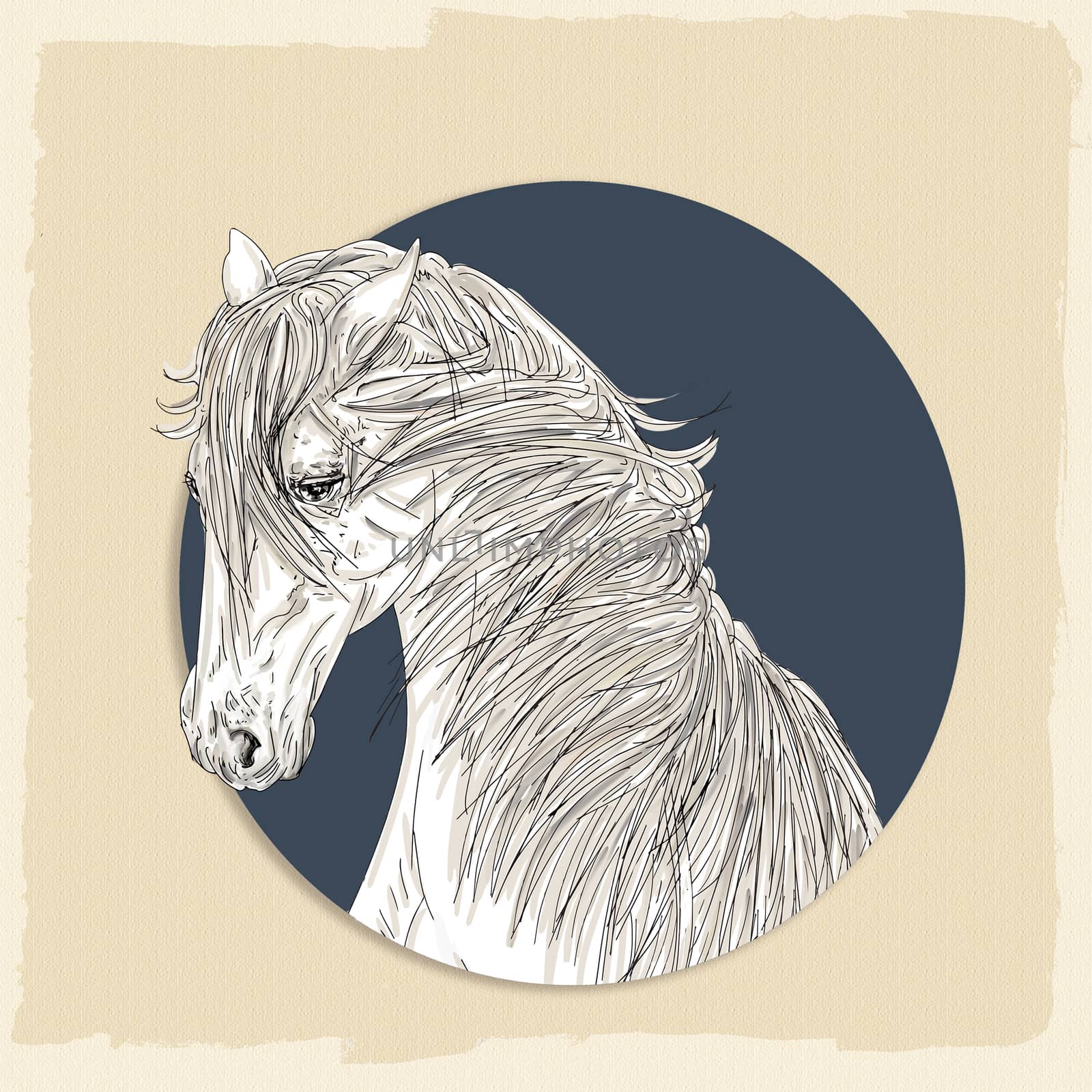 drawing of the head of a white horse with a thick mane
ancient and background blue and cream.