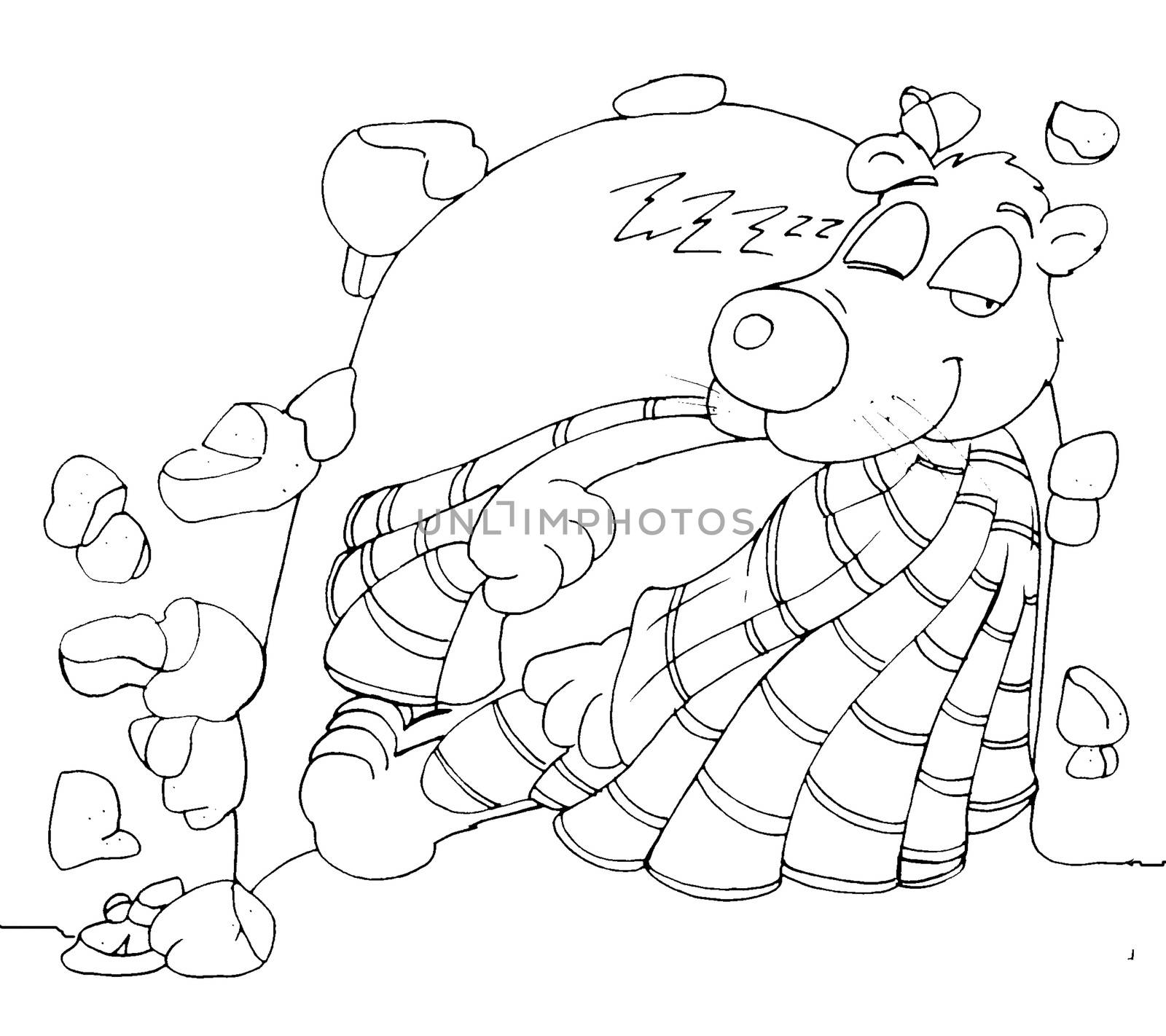 Bear that slept