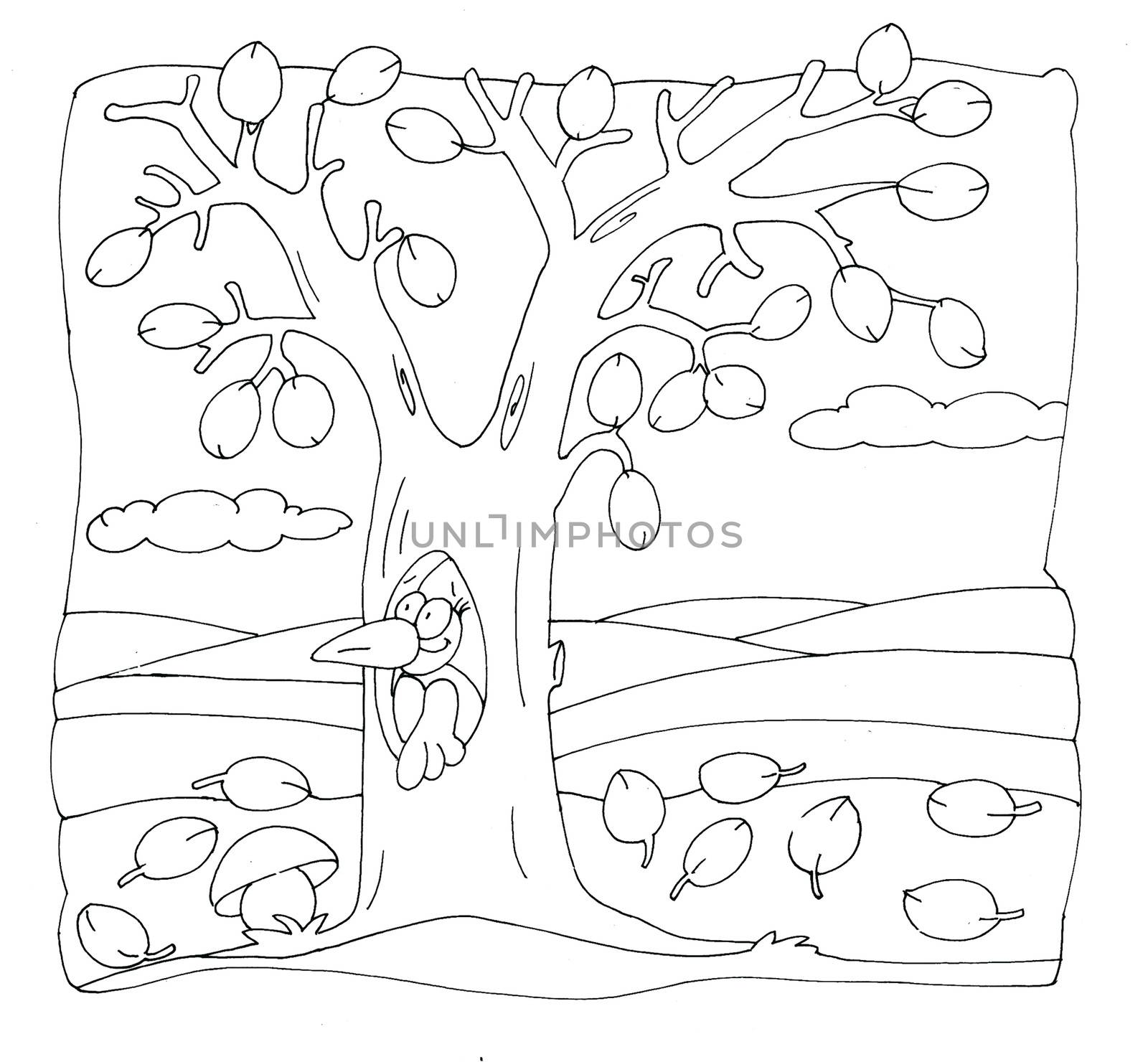 Tree with wood in the trunk