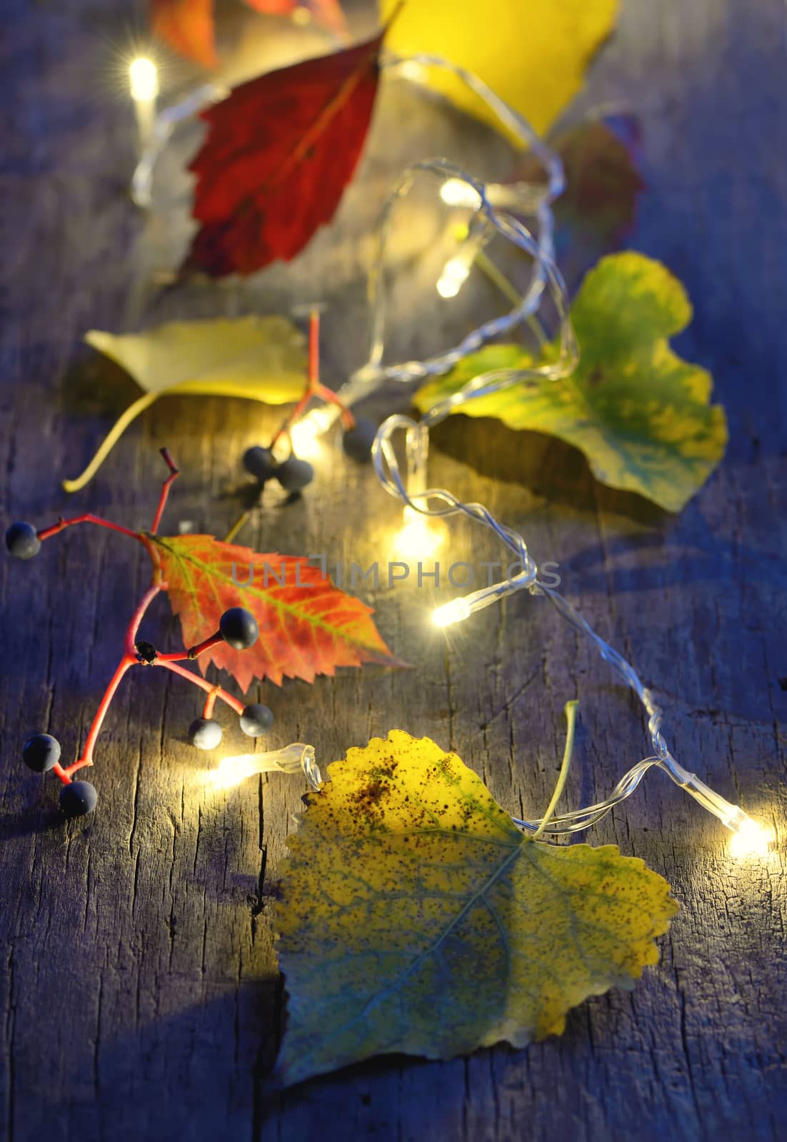 Autumn leaves on wooden board and christmas lights glowing