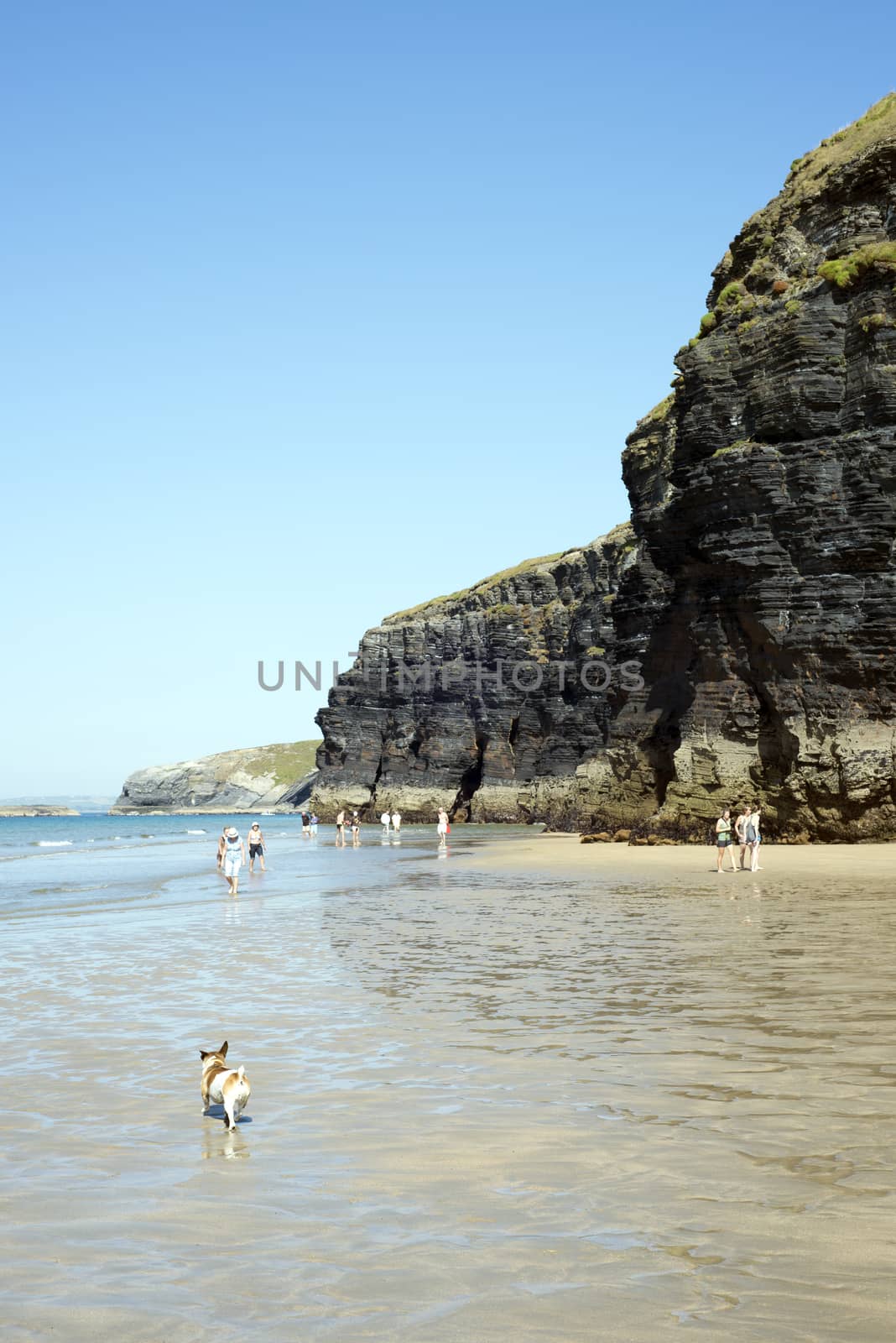 tourists and dog in ballybunion beach and cliffs on the wild atlantic way at low tide