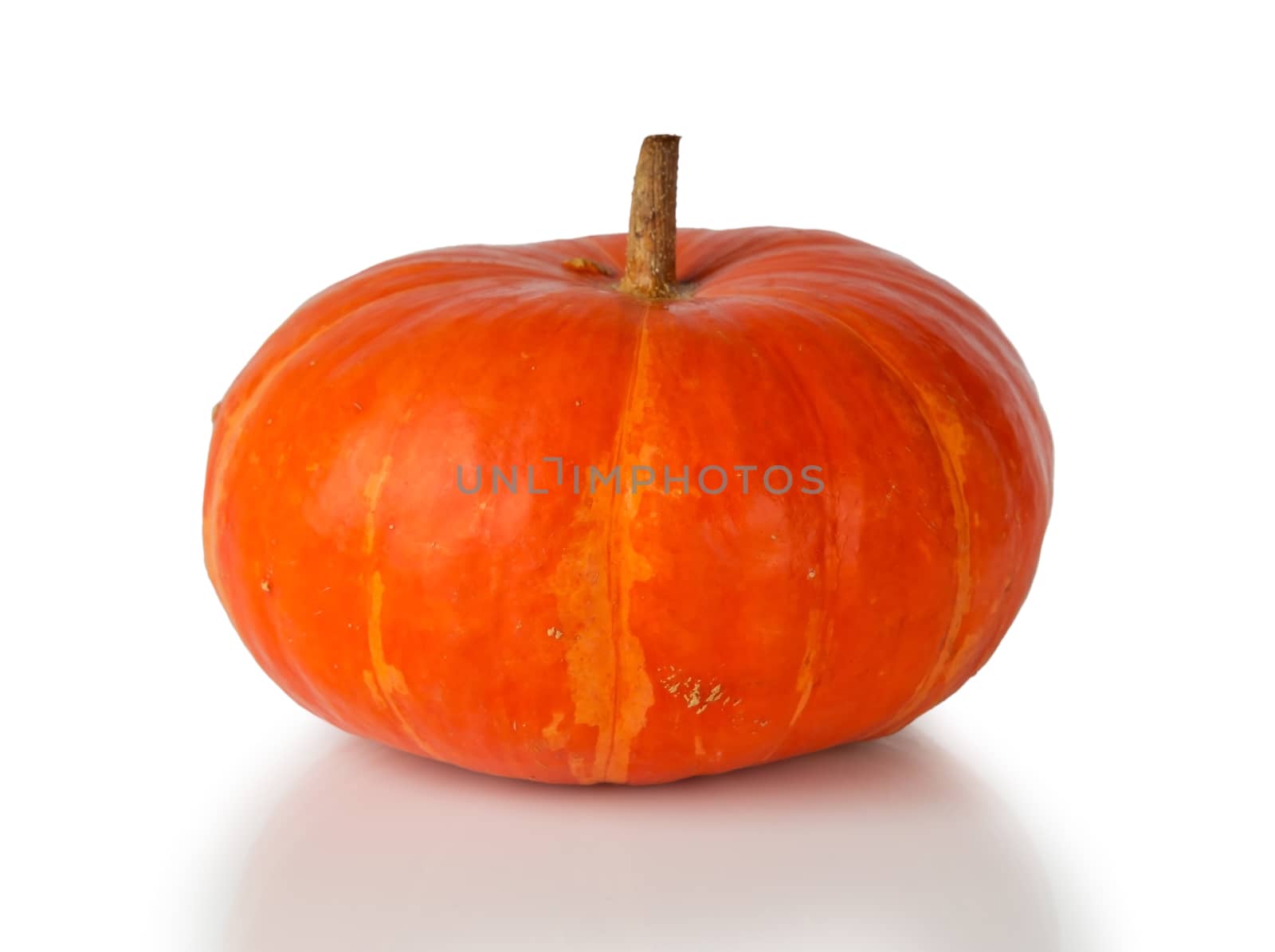 orange pumpkin on a white background