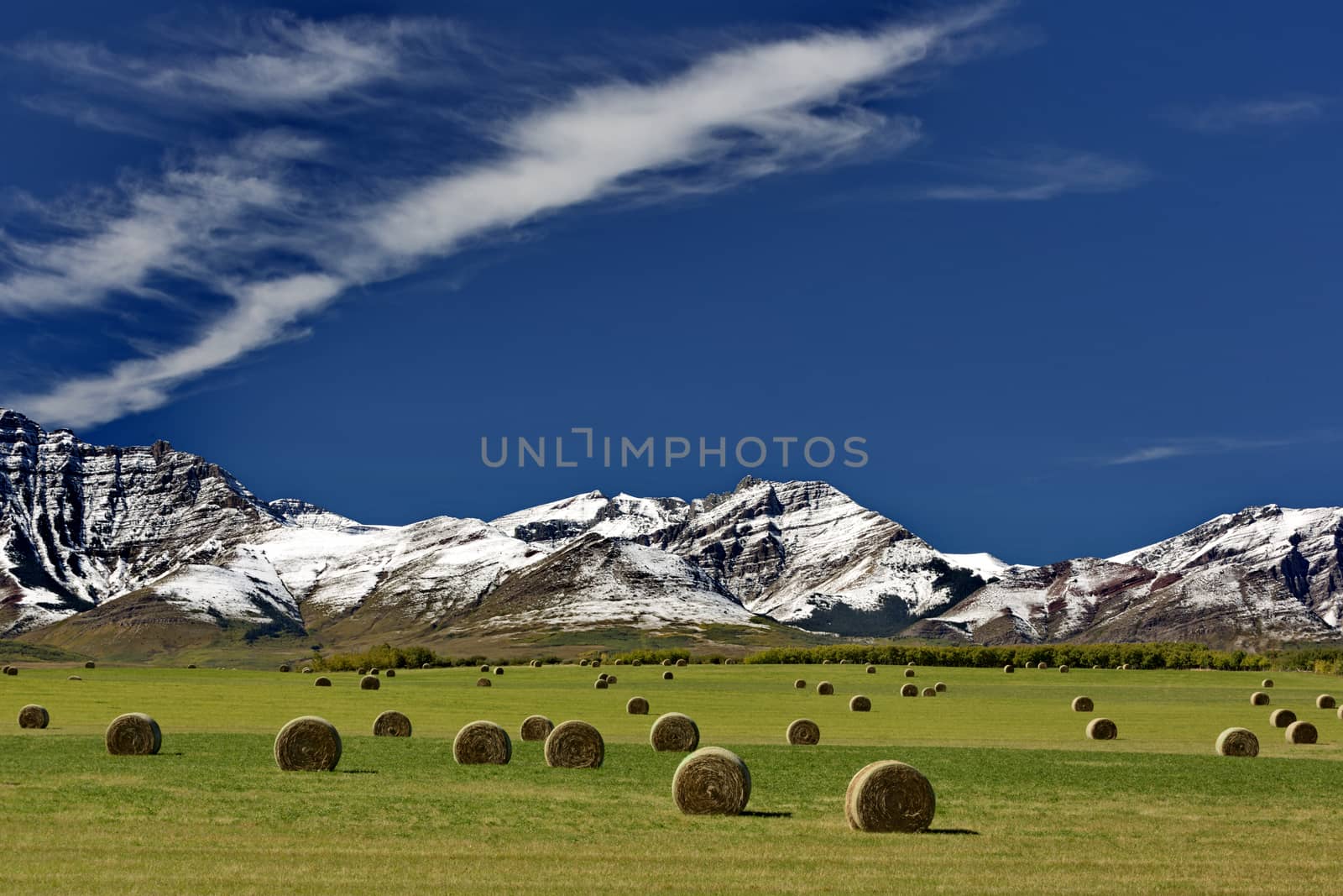 Peaceful Alberta, Canada farm range with rolled hay bales, snowy Canadian Rockies, and beautiful sky.  Horizontal landscape with no people. Location is Pincher Creek near Waterton Lakes National Park. Date is September 13, 2016. 