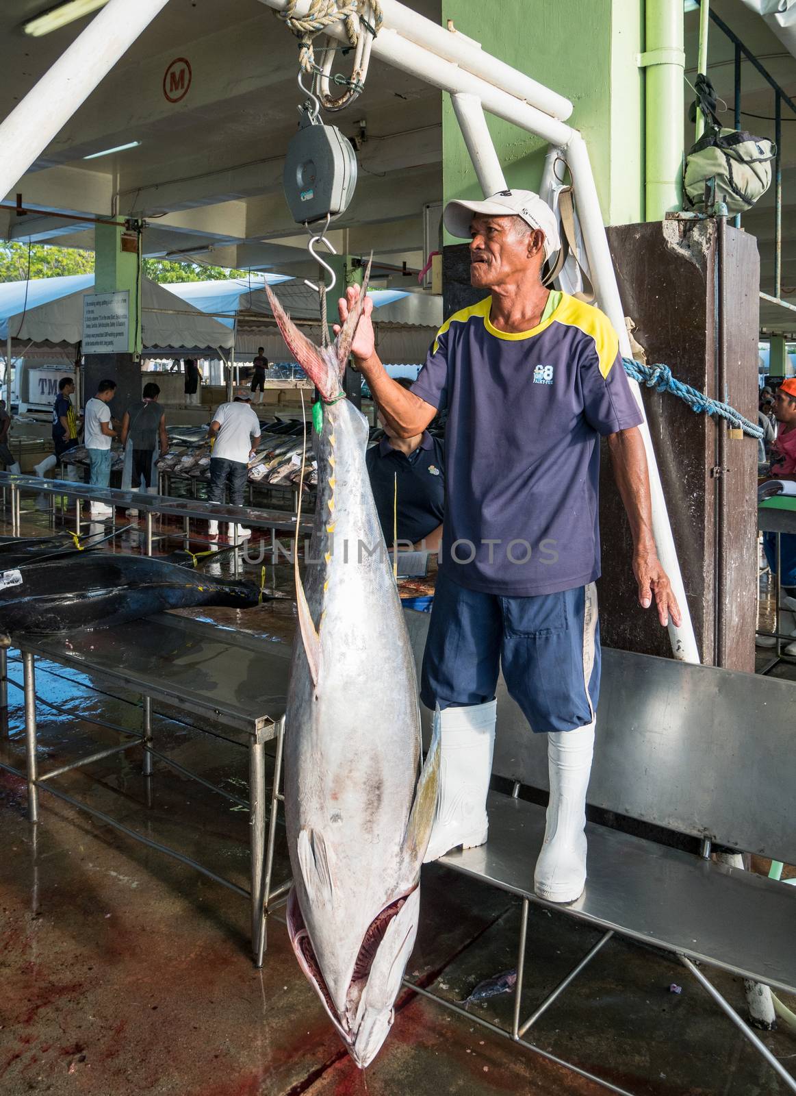 General Santos City - September 1, 2016: Yellowfin tuna being weighed at the Tuna Harbor in General Santos City, South Cotabato, The Philippines. General Santos is the Tuna Capital of The Philippines, and the tuna industry is an important contributor the the city’s economy with export worldwide.