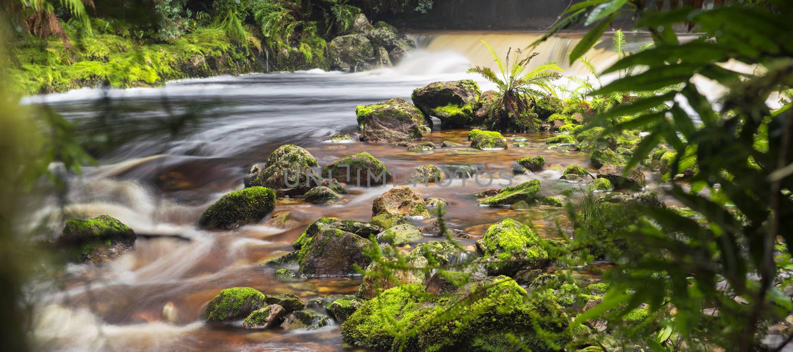 Newell creek is a magnificent fast running stream in Tasmania, Australia