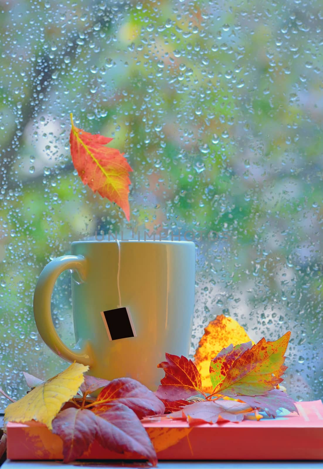 Tea cup at the window with  leaves and drops after rain in autumn 