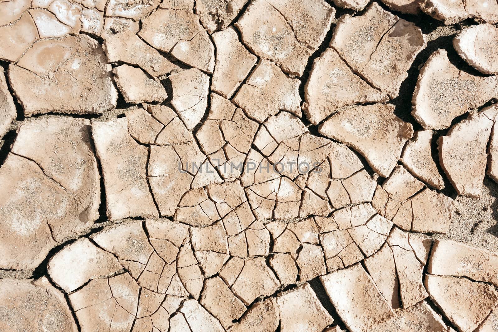 dry mud desert background texture. Global Warming                               