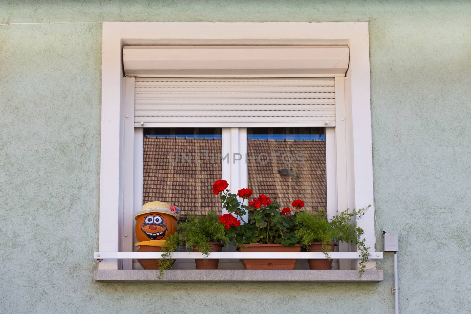 Window. Flowers on the window. Face of pumpkin on a windowsill. A window with shutters. The window of a private house